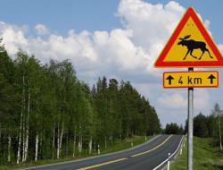 Közlekedési szabályok Finnországban Útjelző táblák Finnországban orosz nyelven